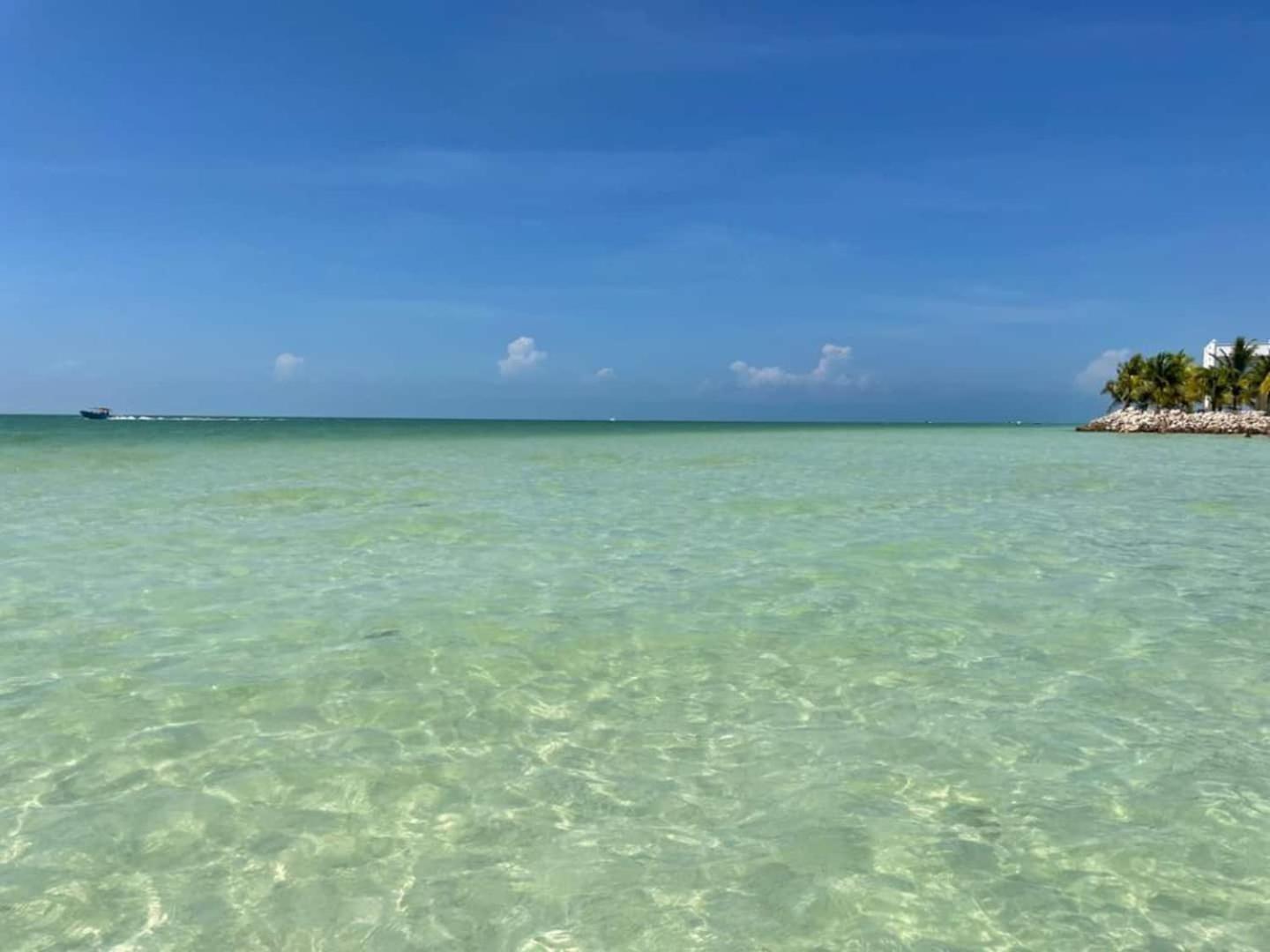 Hotel Pool View Loft Steps From The Ocean In Punta Cocos - C101 Isla Holbox Exterior foto